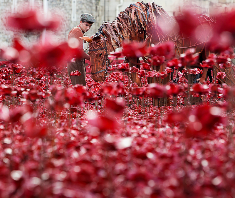 Tower of London / War Horse