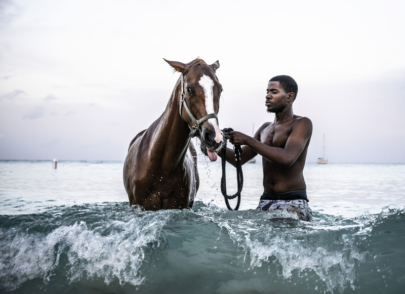 A trainer washes his horse on pebble beach, Barbados