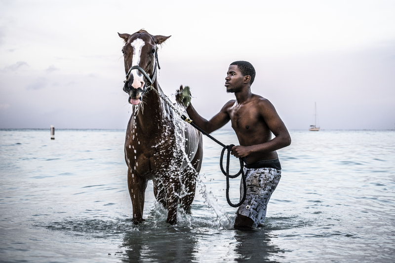 A trainer washes his horse on pebble beach, Barbados