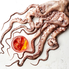 Jamie-Orlando-Smith-Octopus-Negroni.jpg