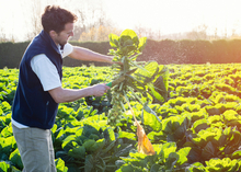 Food In The Field.jpg