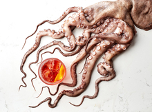 Jamie-Orlando-Smith-Octopus-Negroni.jpg