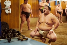 Sumo07.jpg